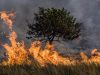 México y Guatemala firman acuerdo para prevenir y combatir incendios forestales