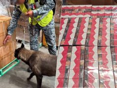 Aseguran más de 2.2 millones de cigarrillos apócrifos en el AICM