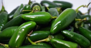 EE.UU. investiga brote de salmonela relacionado con jalapeños procedentes de México