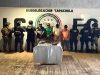 Detienen en Chiapas a 9 presuntos criminales, 2 de ellos requeridos por Guatemala