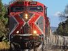 Hombre muere tras ser arrollado por un tren de carga en Teolocholco, Tlaxcala