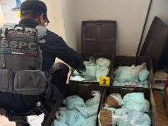 Aseguran 120 kilos de fentanilo en inmueble ligado a Los Rusos en Baja California
