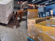 Golpe al contrabando: aseguran casi 3 millones de cigarros ilícitos en el AICM