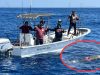 Pescadores encuentran torpedo flotando cerca de Ensenada; Marina lo asegura