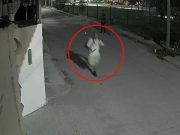 Identifican al presunto feminicida de Claudia Tacoronte en Morelos; Fiscalía obtiene orden de aprehensión