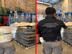 Aseguran más de 49 toneladas de precursores químicos en Sinaloa