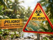 Muere joven de 33 años en Yucatán tras contraer la ameba ‘comecerebros’
