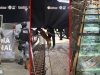 Aseguran 249 kilos de presunta cocaína y fentanilo en tractocamión en Tijuana