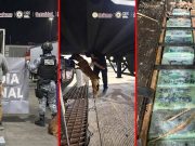 Aseguran 249 kilos de presunta cocaína y fentanilo en tractocamión en Tijuana