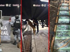 Aseguran 249 kilos de presunta cocaína y fentanilo en tractocamión en Tijuana