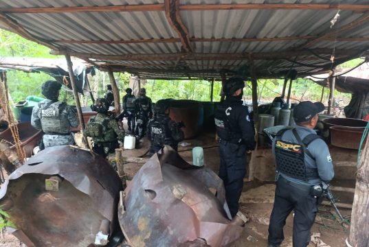 Inhabilitan tres narcolaboratorios en Guerrero; aseguran más de 7.8 toneladas de sustancias y precursores.