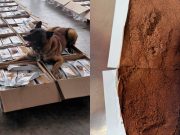Aseguran una tonelada de cocaína oculta en cargamento de café en el AICM