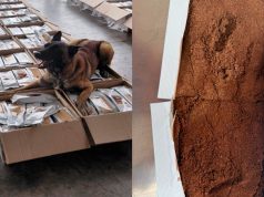 Aseguran una tonelada de cocaína oculta en cargamento de café en el AICM
