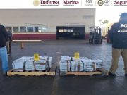 Autoridades aseguran 341 kilos de droga en Sonora y Baja California