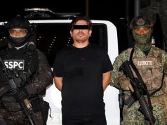 Detienen a ‘El Peli’, presunto operador de Los Chapitos en Mazatlán