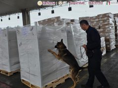 Aseguran 1.3 toneladas de metanfetamina y 10 kilos de fentanilo en la aduana de Tijuana