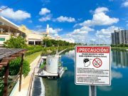 Alerta en Yucatán: detectan ameba “comecerebro” en seis lagos artificiales y prohíben el contacto con el agua