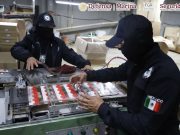 Aseguran 60 toneladas de cigarros apócrifos en Huixquilucan, Estado de México
